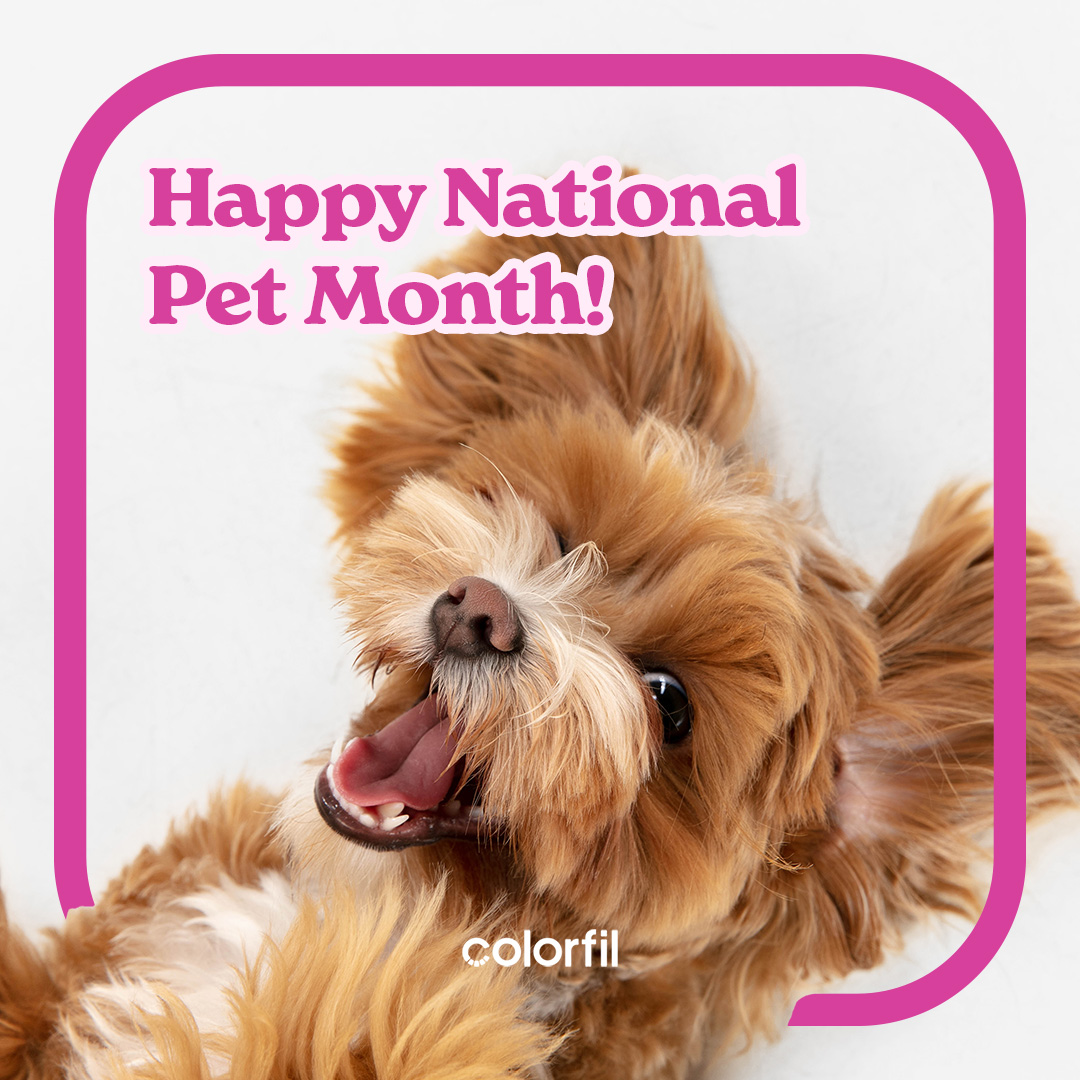 Colorfil Air Filters (@colorfil_air) on Twitter photo ππΎ Happy National Pet Month, furriends! πΆπ± It's the purrfect time to celebrate our pawsome companions who fill our lives with love, joy, and endless cuddles. π₯³π How do you plan on celebrating? ππΎ Happy National Pet Month, furriends! πΆπ± It's the purrfect time to celebrate our pawsome companions who fill our lives with love, joy, and endless cuddles. π₯³π How do you plan on celebrating?