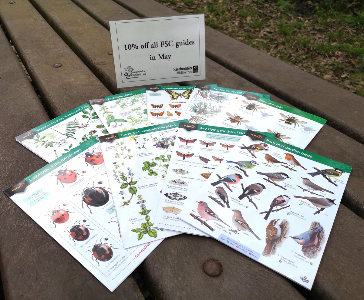 QueenswoodArb's tweet photo. Spend all of the bank holiday weekends in May spotting Wildlife with 10% off all 'Field Studies Council' Guides @QueenswoodArb. #spotterguide @HerefordshireWT #naturecounts #WildID https://t.co/8BLqBE8rgw
