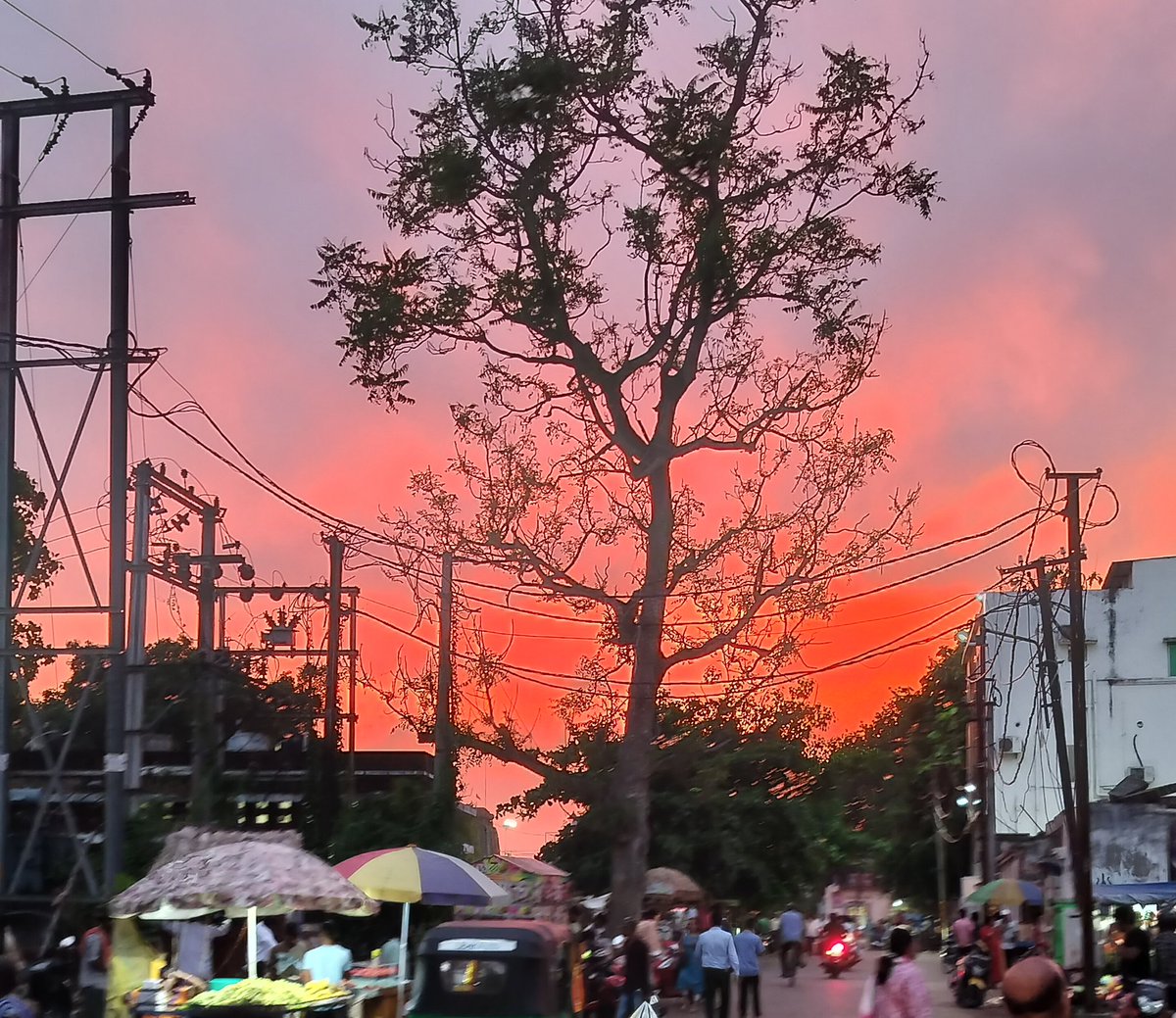 iamarchis16's tweet photo. Picturesque Sunset πΈ
#Notanedit #Nofilter
#home #nature https://t.co/05XusxFYht