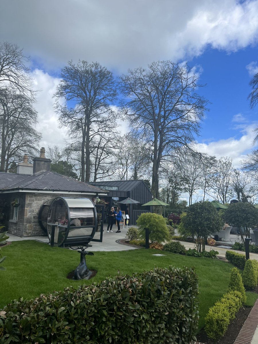 gavin-lynch-on-twitter-just-having-lunch-at-the-bective-tea-rooms-at