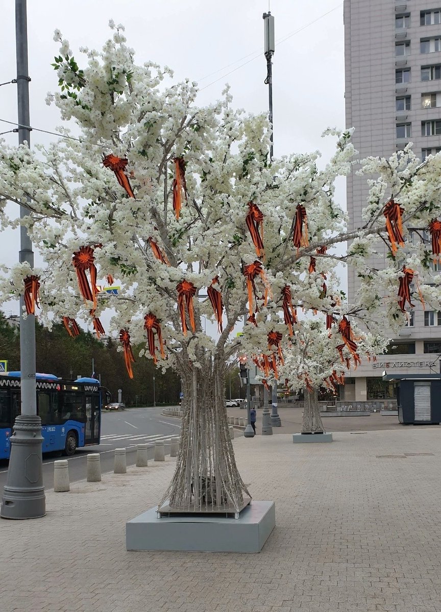 Душевнобольные россияне украсили дерево в Зеленограде👍