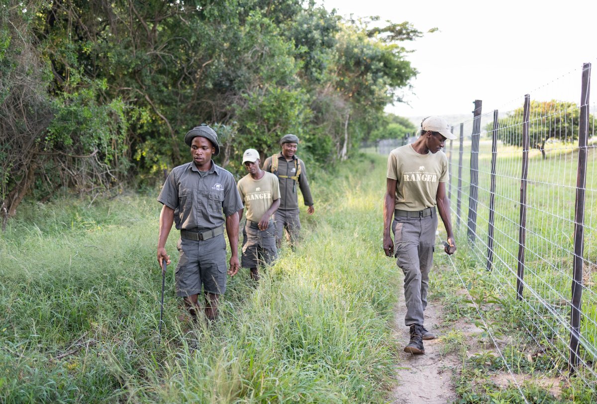 wildtomorrow's tweet photo. For International Workers Day we'd like to give a massive shout-out to our incredible team of rangers, Green Mambas and management at our Greater Ukuwela Nature Reserve in South Africa. For all you do, a heartfelt THANK YOU! 🌿
#WildTomorrow #workersday #protect #restore #rewild https://t.co/WQhdUPqIZq