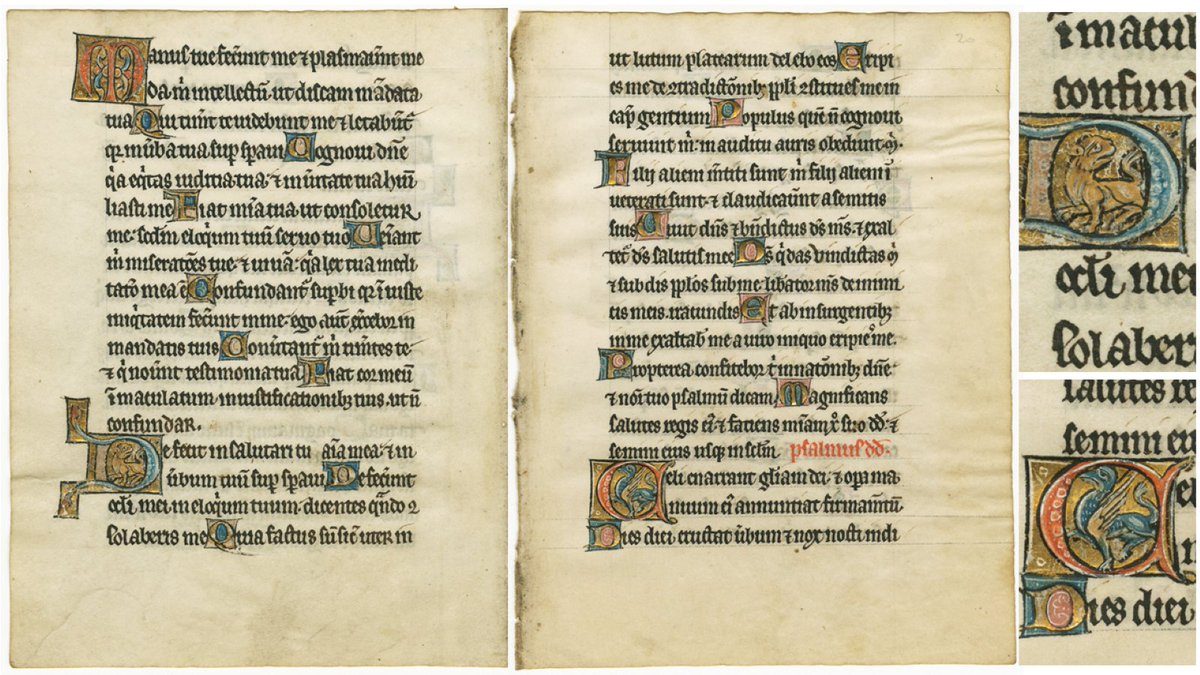 brock_library's tweet photo. Created in a scriptorium by monks? Check. Written in Latin and on vellum? Check. Gold leaf letters and ornate art? Check. Making this page from a c.1225 medieval French psalter the oldest item in the Brock University Archives. ✔ #OldestArtifact #MuseumRumble #MuseumsOfNiagara https://t.co/LnVYknscNe