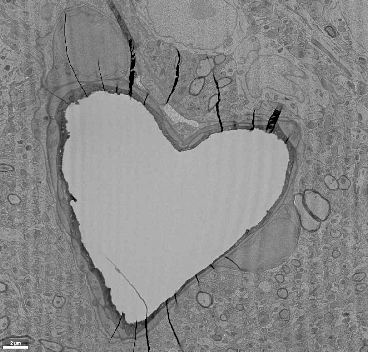 SorenGrubb's tweet image. I ❤️#EM_monday