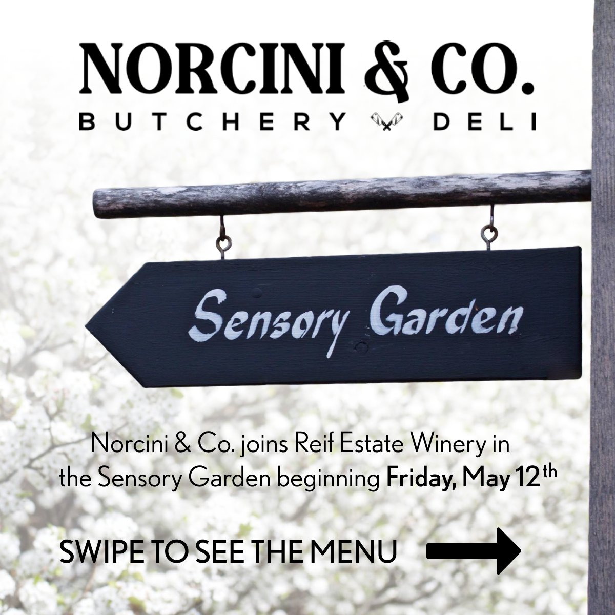 Reifwinery's tweet photo. We are very excited to announce that Norcini &amp; Co. will be joining us in the Sensory Garden beginning Friday, May 12th!

Swipe to see what's on the menu!

Reserve your spot in the Sensory Garden here: https://t.co/edtuvgOwoO https://t.co/gwwz2Uho1e