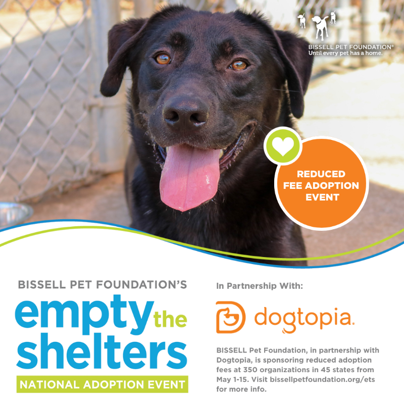 TODAY starts the Empty the Shelters Event with BISSELL Pet Foundation and Dogtopia! 🧡

From May 1-15, we will be offering reduced adoption fees for our rescues!