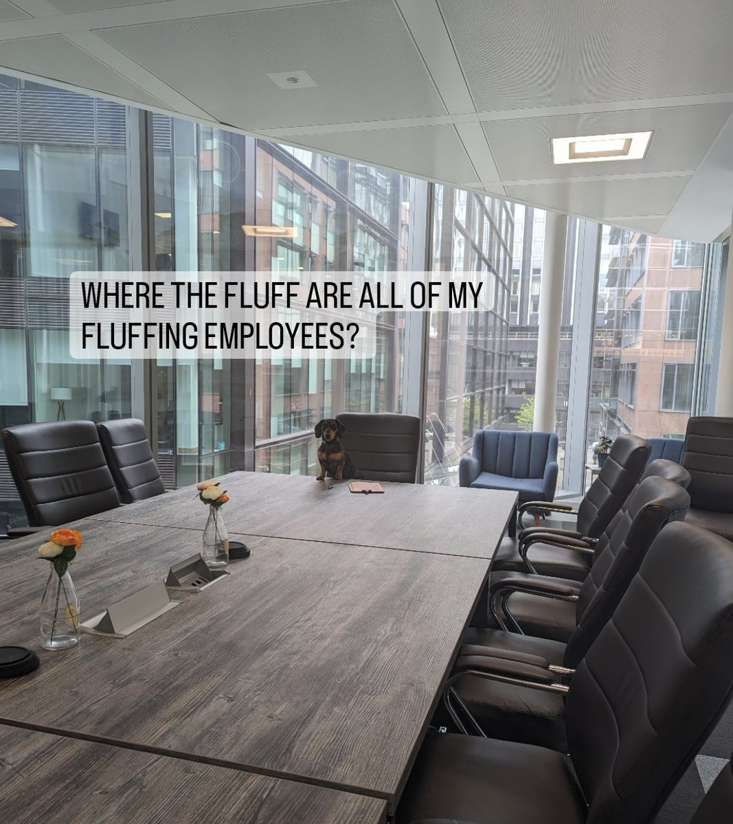 HAPPY BANK HOLIDAY 
FROM AKD &amp; GEORGE MICHAEL 

#bankholiday #work #ceo #ceodog #design #office #boardroom #interiordesign #achitecture