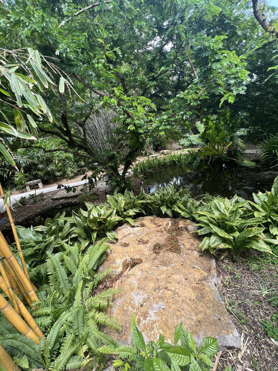 gfunkwheeler's tweet photo. @mbbotanical 🌞 https://t.co/kwNu94ia4l