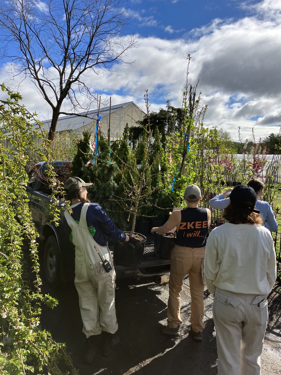 WalkerFarm's tweet photo. Beautiful load of Japanese Maples and conifers from Iseli Nursery in Oregon just arrived. “Horticultural Candy” https://t.co/4CEwmppPPO