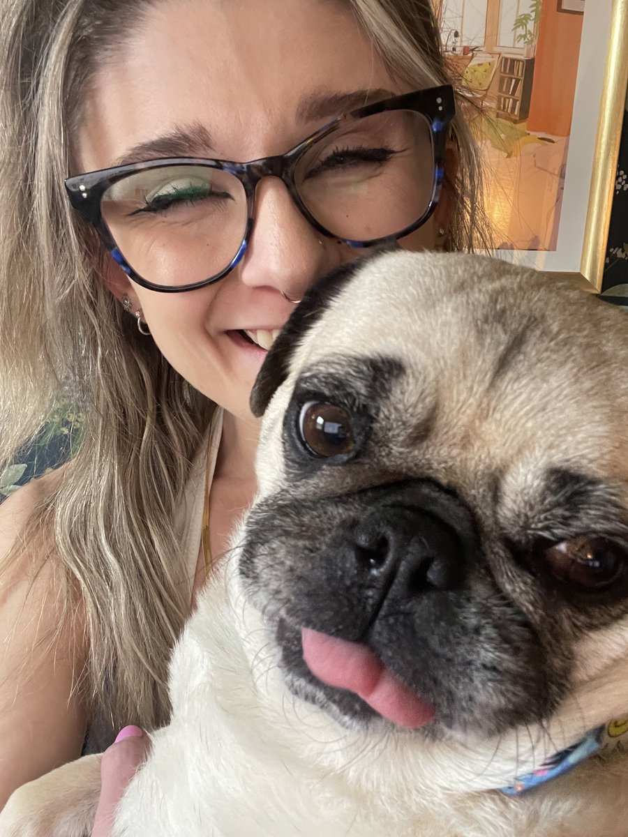 ItsMatchaThePug's tweet photo. Happy May everybody! Here’s a little dump of everything I’ve been enjoying 🥰 hope you are all having the best day!!!! 💕(also mama said my first photo makes me look like an angel 😇) #MatchaThePug #MayDay https://t.co/BBb4zfkwG3