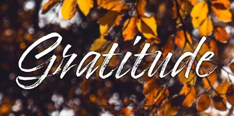 "चढ़दे सूरज ढलदे देखे
बुझदे दीवे बलदे देखे
हीरे दा कोइ मुल ना जाणे
खोटे सिक्के चलदे देखे
जिना दा न जग ते कोई, 
ओ वी पुतर पलदे देखे।
उसदी रहमत दे नाल बंदे
पाणी उत्ते चलदे देखे!
लोकी कैंदे दाल नइ गलदी,
मैं ते पथर गलदे देखे।
जिन्हा ने कदर ना कीती रब दी, 
हथ खाली ओ मलदे देखे …
कई