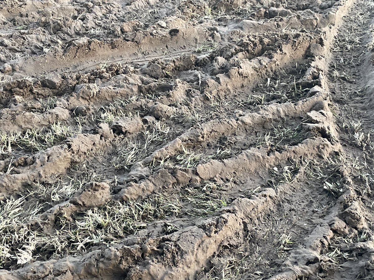 89Usd_Eima's tweet image. 天気に右往左往されながらも無事終了。回ごとに新しいメンバーを迎え、新しい困難も乗り越えていく。その積み重ねって大事だなと改めて思えた1日。応援し、見守っていてくれる人がいるから前に進める。その当たり前を噛み締め、また一歩前に踏み出そう。
#KGP #轍