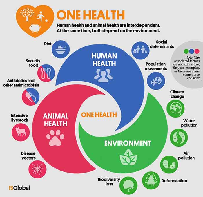 Read more about the article The World Health Organization is seeking to cement its control over global healt