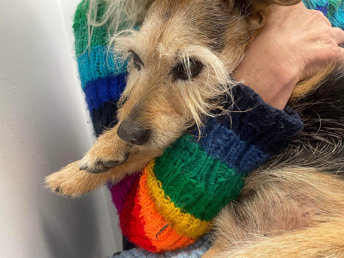 Julie Skentelbery tweet media