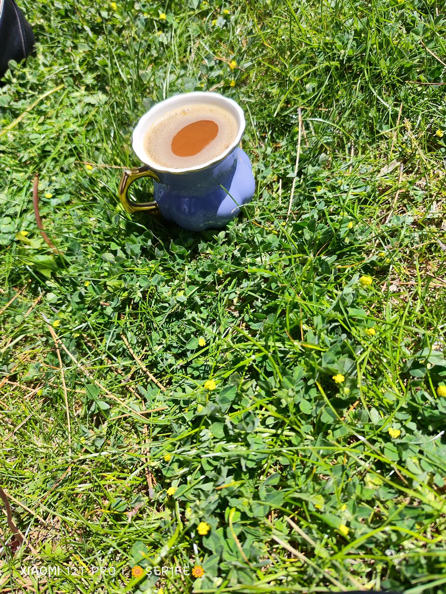 5403hazan's tweet photo. #piknik
#doga
#kokusunda davet
   🍫☕🎶🌼🌼 https://t.co/aJ9SGh1OiV