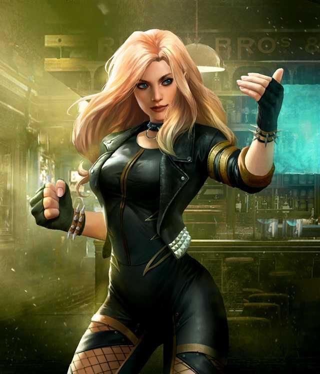 Mrlink501's tweet photo. @JamesGunn @Harada_TEKKEN how about adding #BlackCanary and #LadyShiva as #guestcharacters in #TEKKEN8

#DCcomics #TEKKEN #BandaiNamco https://t.co/wgP667Ph04
