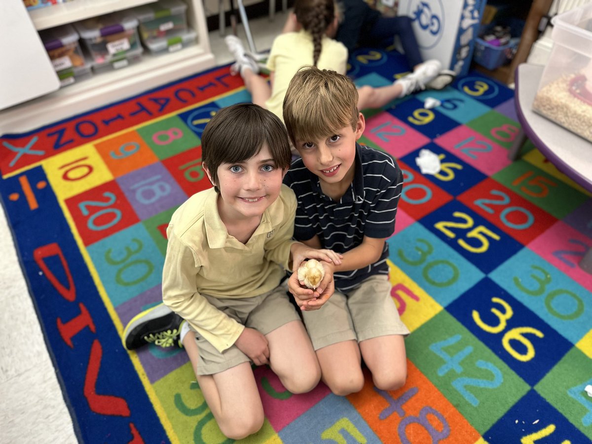 It’s an “egg-citing” time in 3rd grade – the chicks have hatched! During the weeks the eggs were in the classroom incubators, students learned about the cellular structure and gestation process.