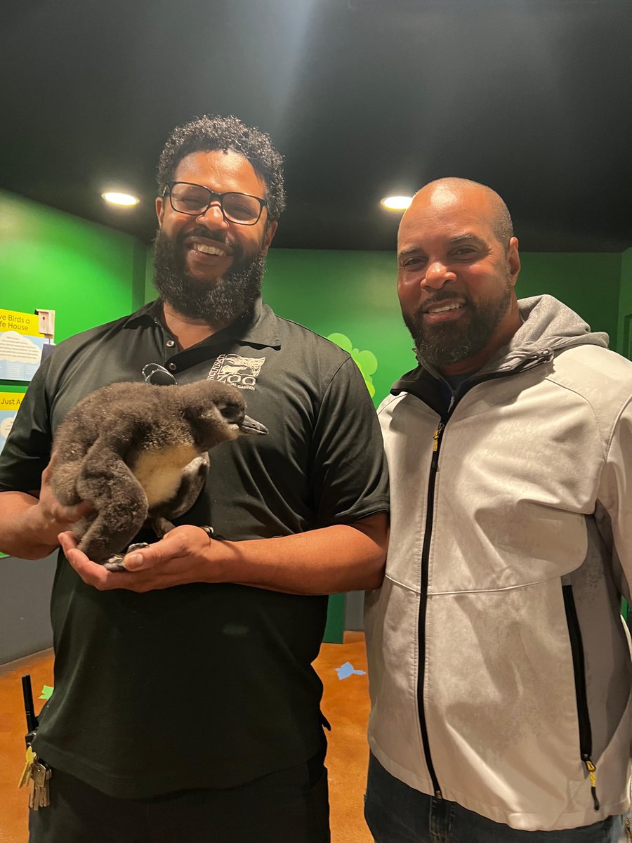 So thrilled to introduce <a href="/BarryLarkin/">Barry Larkin</a> to Larkin the African penguin chick that the bird team named after the baseball legend. <a href="/Reds/">Cincinnati Reds</a> @BallySports ow.ly/a9sI50O57Vn