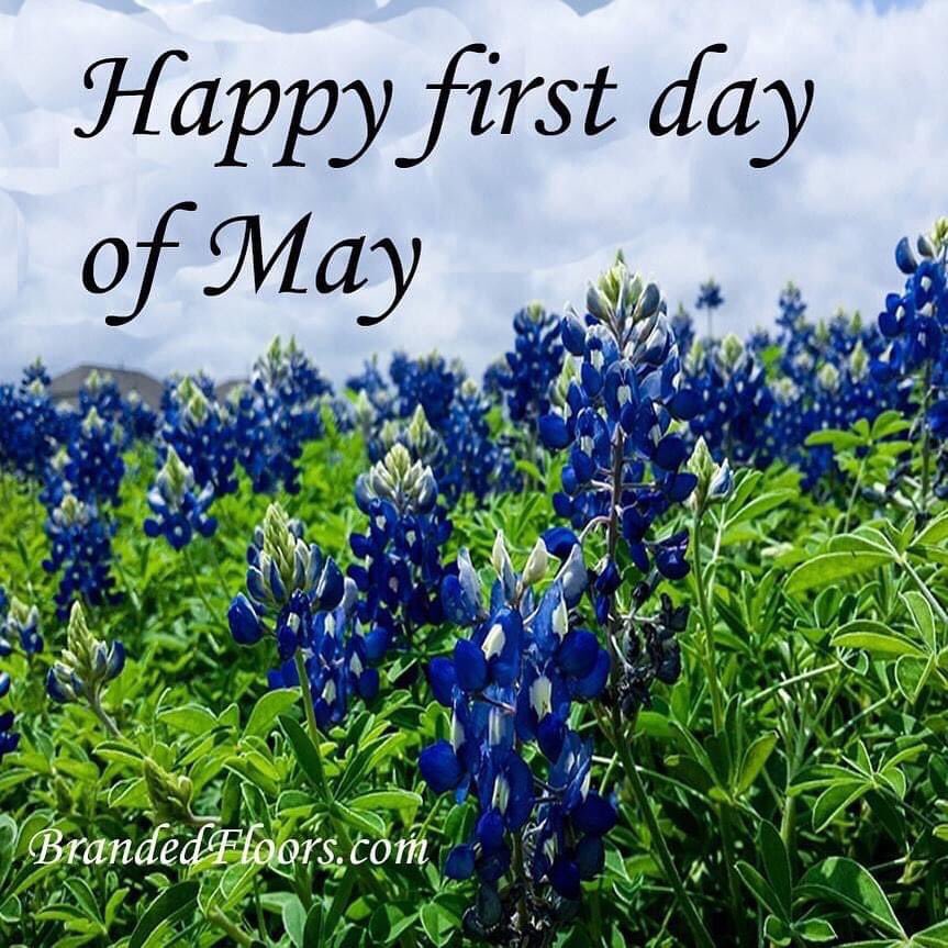 Happy first day of May! 

#mayfirst 
#may12023 
#mayday
#bestflooringcompany 
#HappyFirstdayofMay🌻
#MayisaNewStart