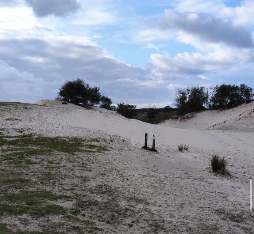 Gerd stunbenvoll (@mrgerdnor) on Twitter photo 