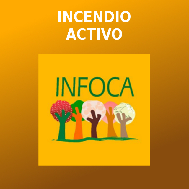 🔴 DECLARADO #IFPueblaDeDonFadrique, #Granada, en el paraje Collado de la Víbora. Desplegamos:
🚁 1 Superpuma como bombardero
👩‍🚒 1 grupo de bomberos forestales, 1 agente de medio ambiente.