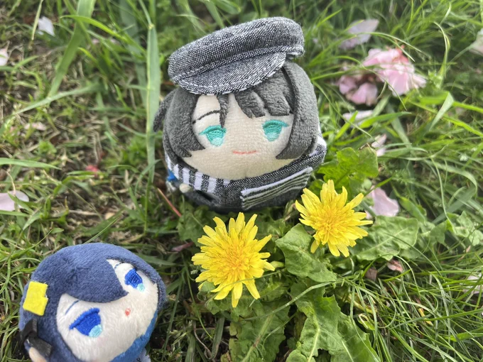 #立夏に咲く藤に見惚れながら刀剣乱舞好きさんと繋がりたい 三条と江箱推ししつつ刀剣みんな大好きです(松井狂)日々絵描いたり、.5追いかけたり、ぬいとお出かけして遊んでます雑多垢ですが、色んな方と交流出来ると嬉しいです もRTどちらでも、気の会いそうな方お迎えにあがりますーっ!!