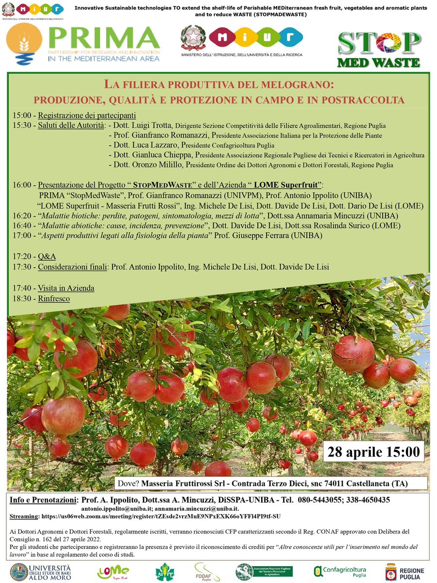 GianfRomanazzi's tweet photo. Grazie a #FoglieTV per l’opportunità di parlare del #Progetto #PRIMA #StopMedWaste al Prof. #AntonioIppolito e alla bella #azienda #Fruttirossi per l’organizzazione dell’interessante incontro su #melograno, nuovo appuntamento #MacFrut per il #5maggio https://t.co/sahpaeH8S4 https://t.co/7HdkjV85GT