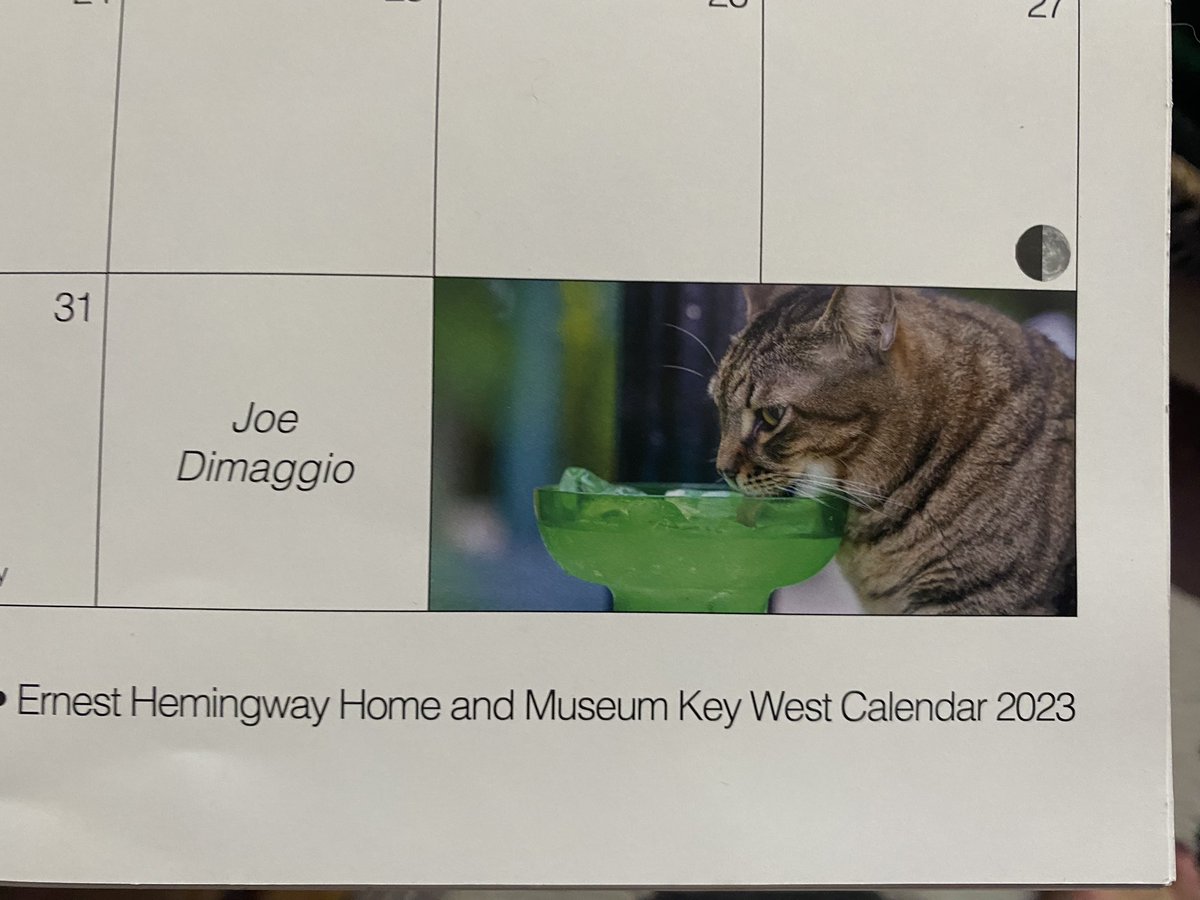 karen_flynn's tweet photo. May calendar is the beautiful paws of Billie Holiday and a small pic of Joe Dimaggio #hemingwaycats #thosepaws π https://t.co/3SIkAHEjWT