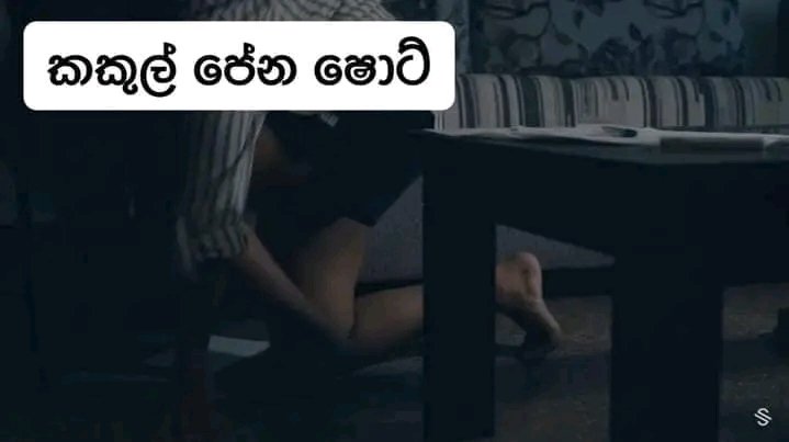 optimuspnj's tweet photo. ලාංකීය සම්භාව්‍ය සිනමාව මෙහෙම ලු. මං දන්නෙත් නෑ මේක ෆේස්බුක් එකේ තිබුණෙ. 

ඒක එහෙමද කියන්නෙ? 🥴 https://t.co/lusTQycRqi