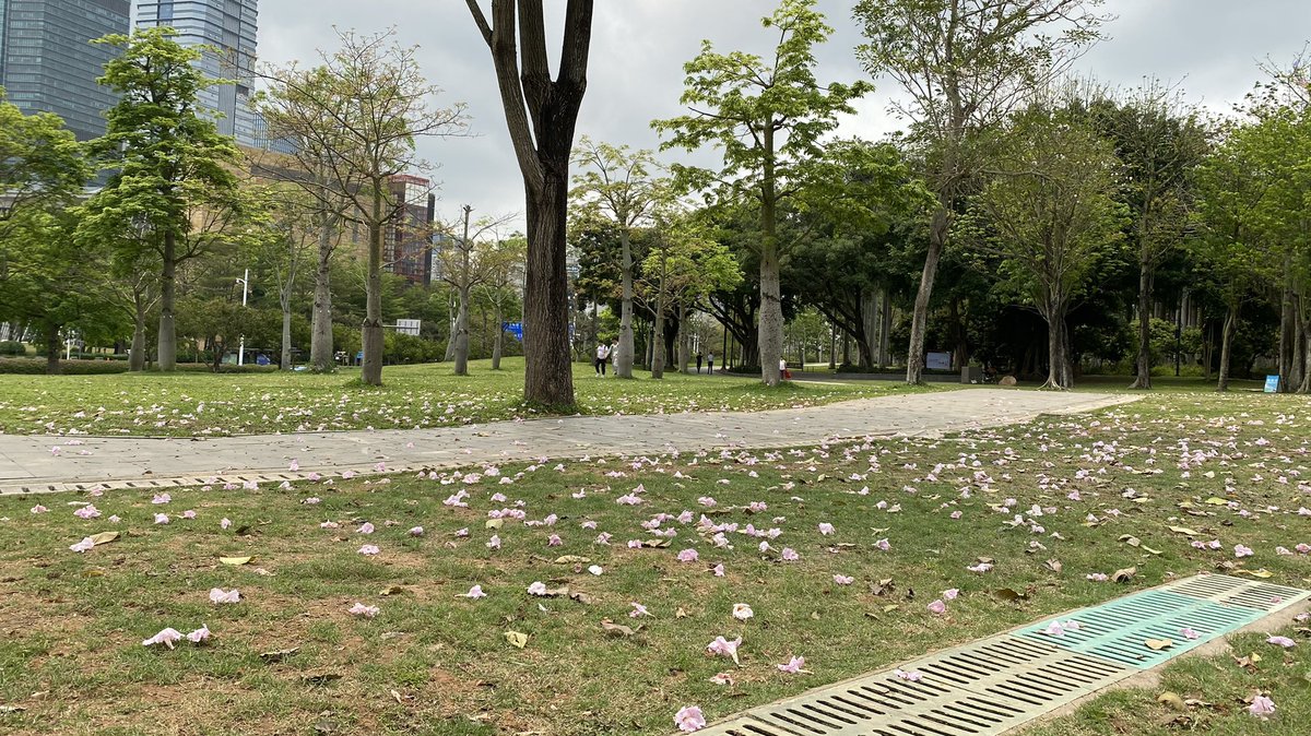 5zlsC's tweet photo. 什么时候才能破圈呢？几座大山压着，真的需要一个爆破点才能行 https://t.co/PHbXMYhNsV