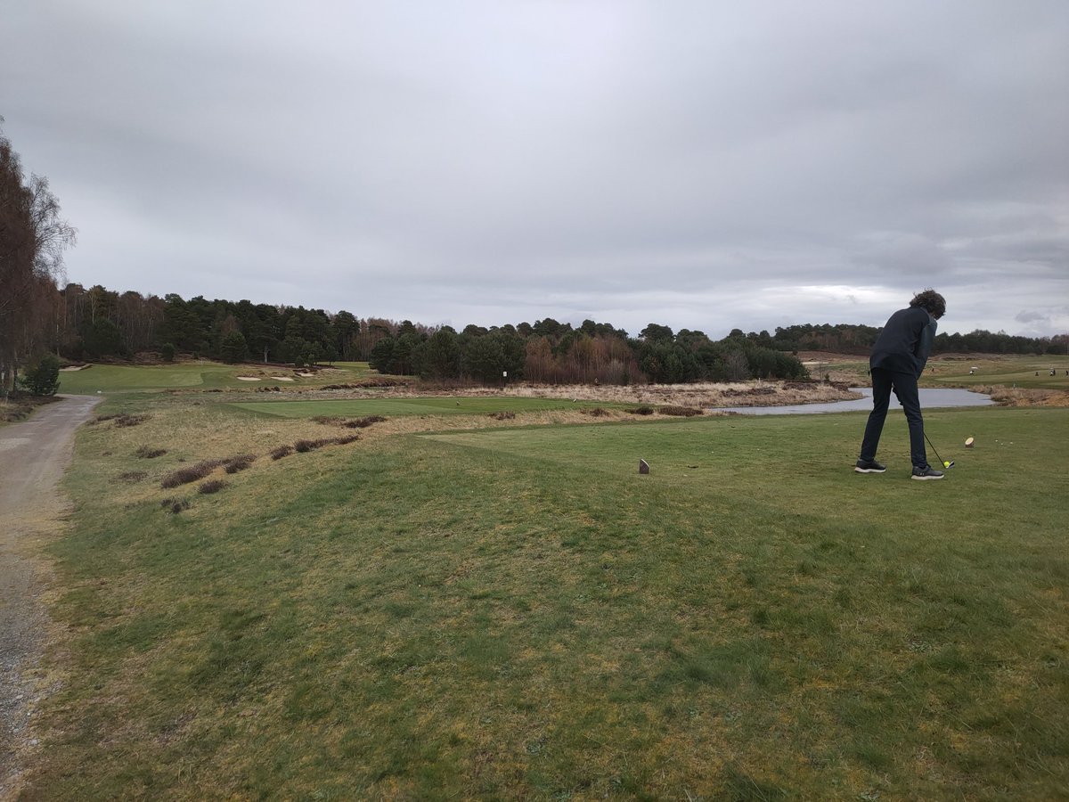 Gordon Mccormack tweet media