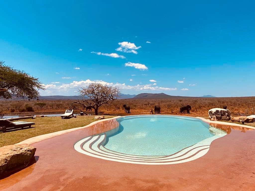 balutraveltd's tweet photo. The Hildana Lodge - Tsavo 🐘
#travelbug #magicalkenya #travelkenya #tembeakenya #safaridreaming #safarikenya #luxurylodge #instatravel #whyilovekenya #safaridreams #bucketlist #bucketlisttravel #travelready #africa #kenya #safariafrica #adventure #travelphotography #kenyaviews https://t.co/mHdYjV7BxX