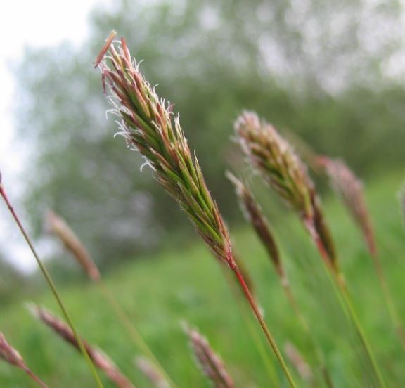 Mick Crawley tweet media