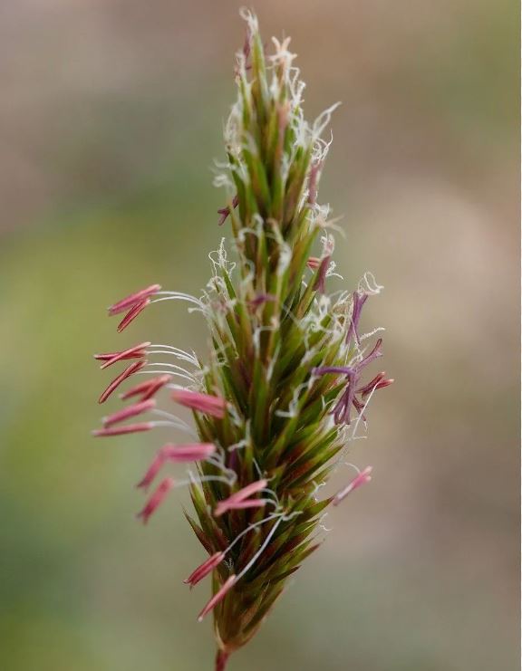 Mick Crawley tweet media