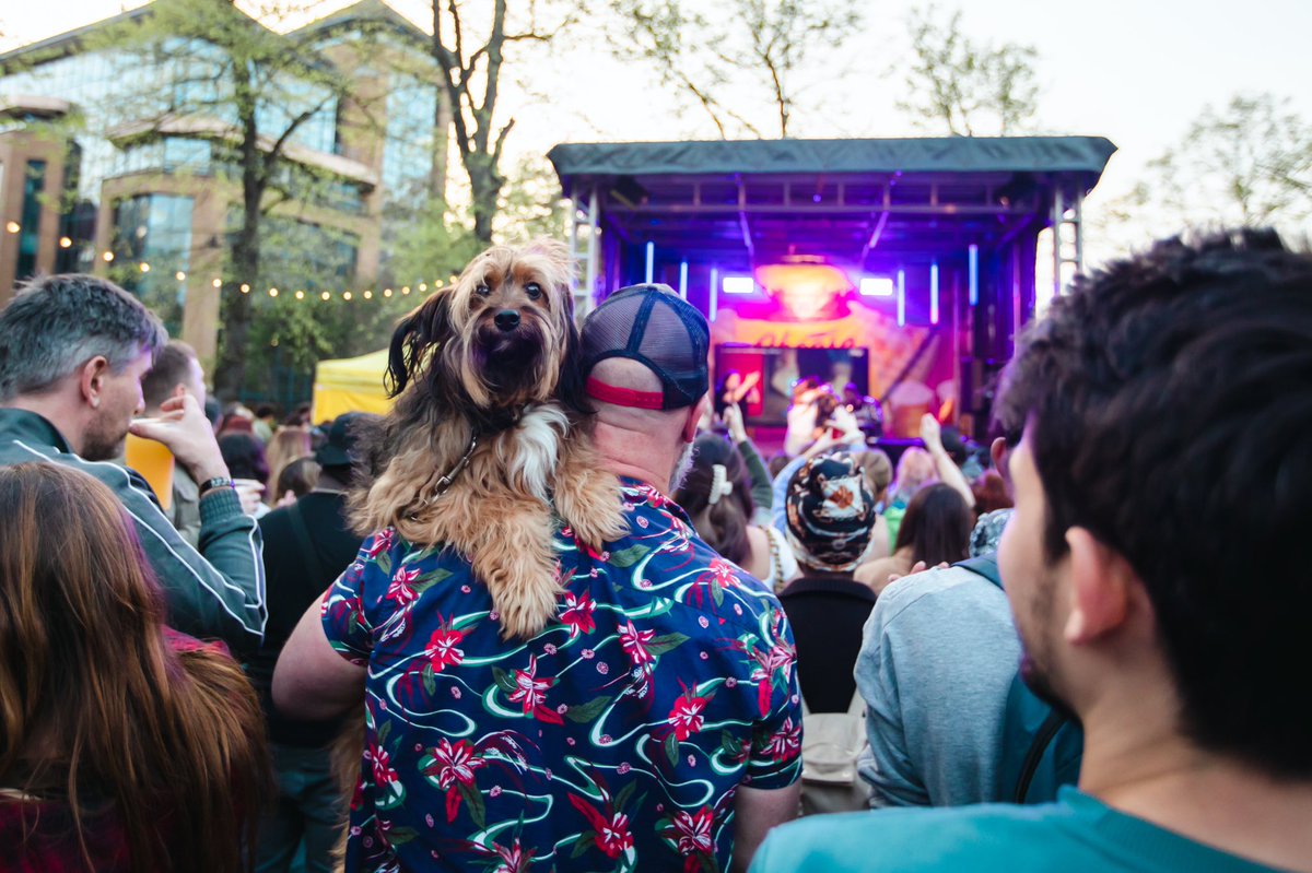 CHEESE FEAST 🧀 tweet media