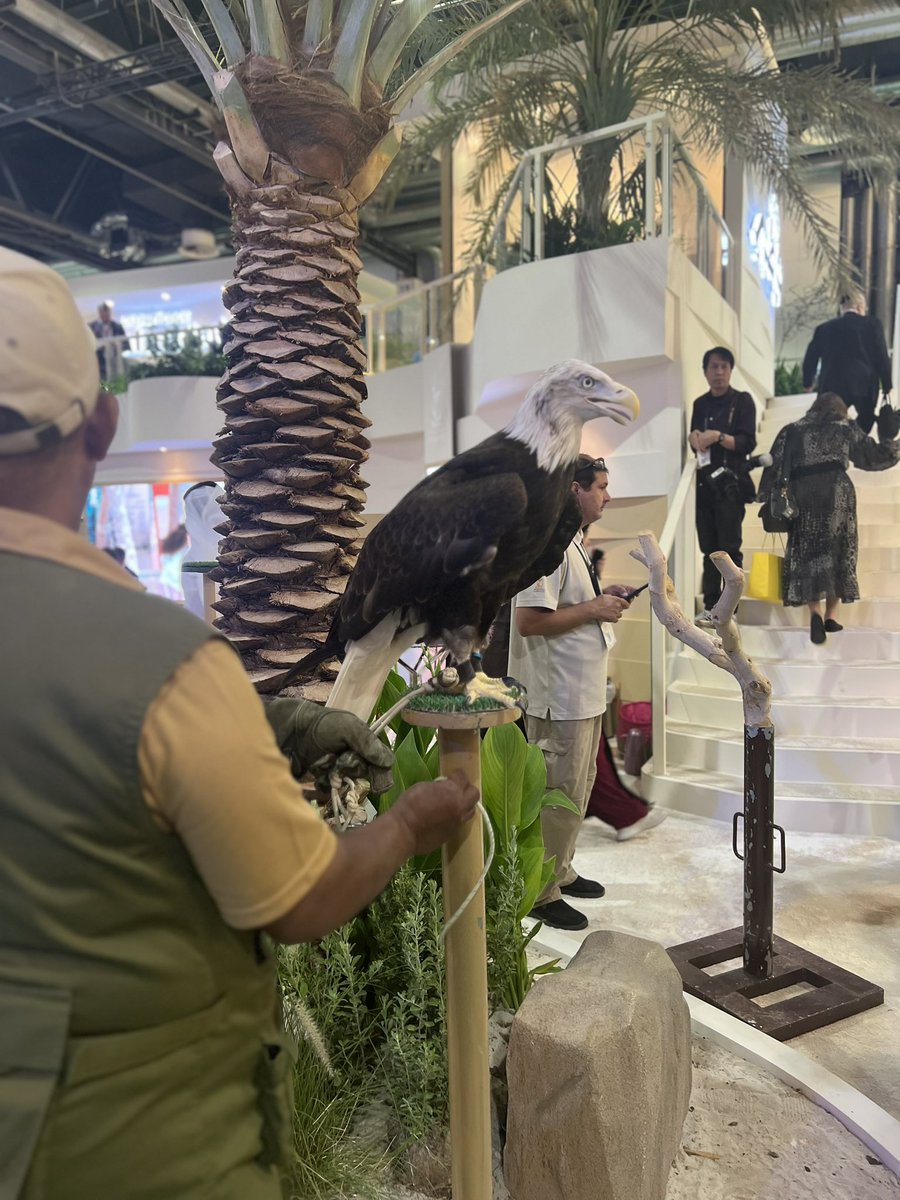 ICPCELEBRANTS's tweet photo. As always the UAE knows how to put on a show and they have not faulted amazing exhibition of the Middle East.  This is definitely a wedding destination #ATM2023 #RAKTDA #rasalkhaimah #weddingsuae Ras Al Khaimah Tourism Development Authority HotelierMiddleEast https://t.co/Co0bnv6Gl9