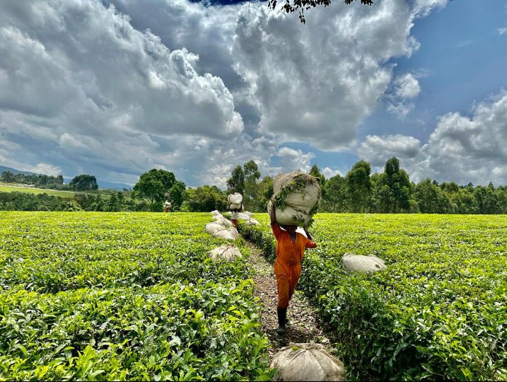 To the women who work tirelessly to bring food on the table, Happy Labour day.