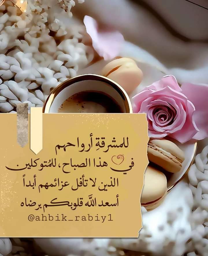 darkhebra's tweet photo. صباح السعادة 🌷 https://t.co/A7nIsGB7w0