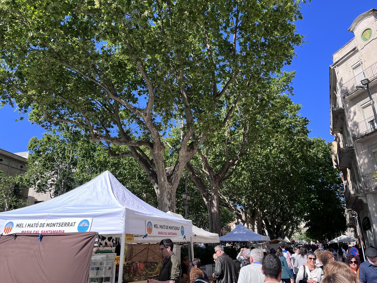 SomRambla's tweet photo. 📍🤩 Dia de paradetes i fires a #Figueres. Ja hi heu passat? https://t.co/1ZXw6So1yS