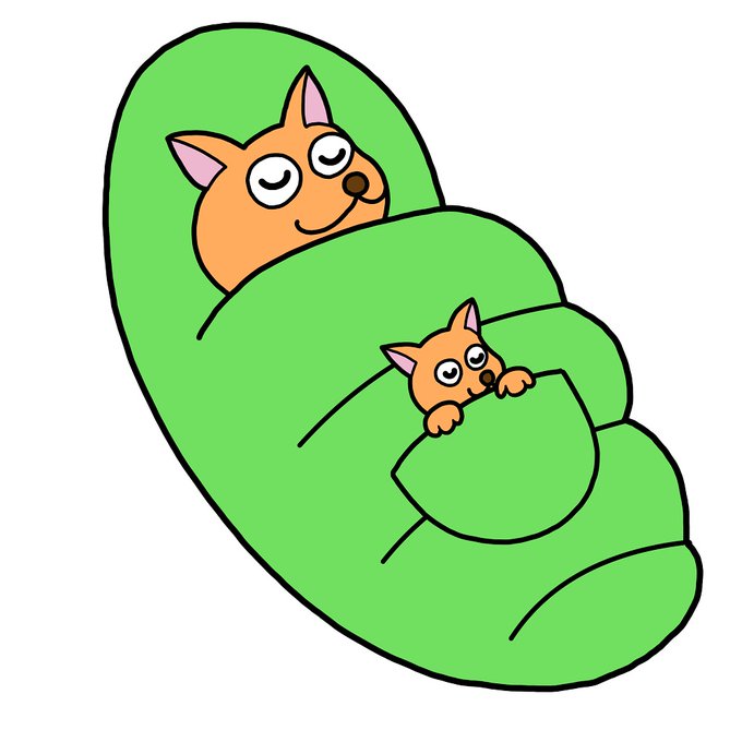 「sleepingbag」 illustration images(Popular))