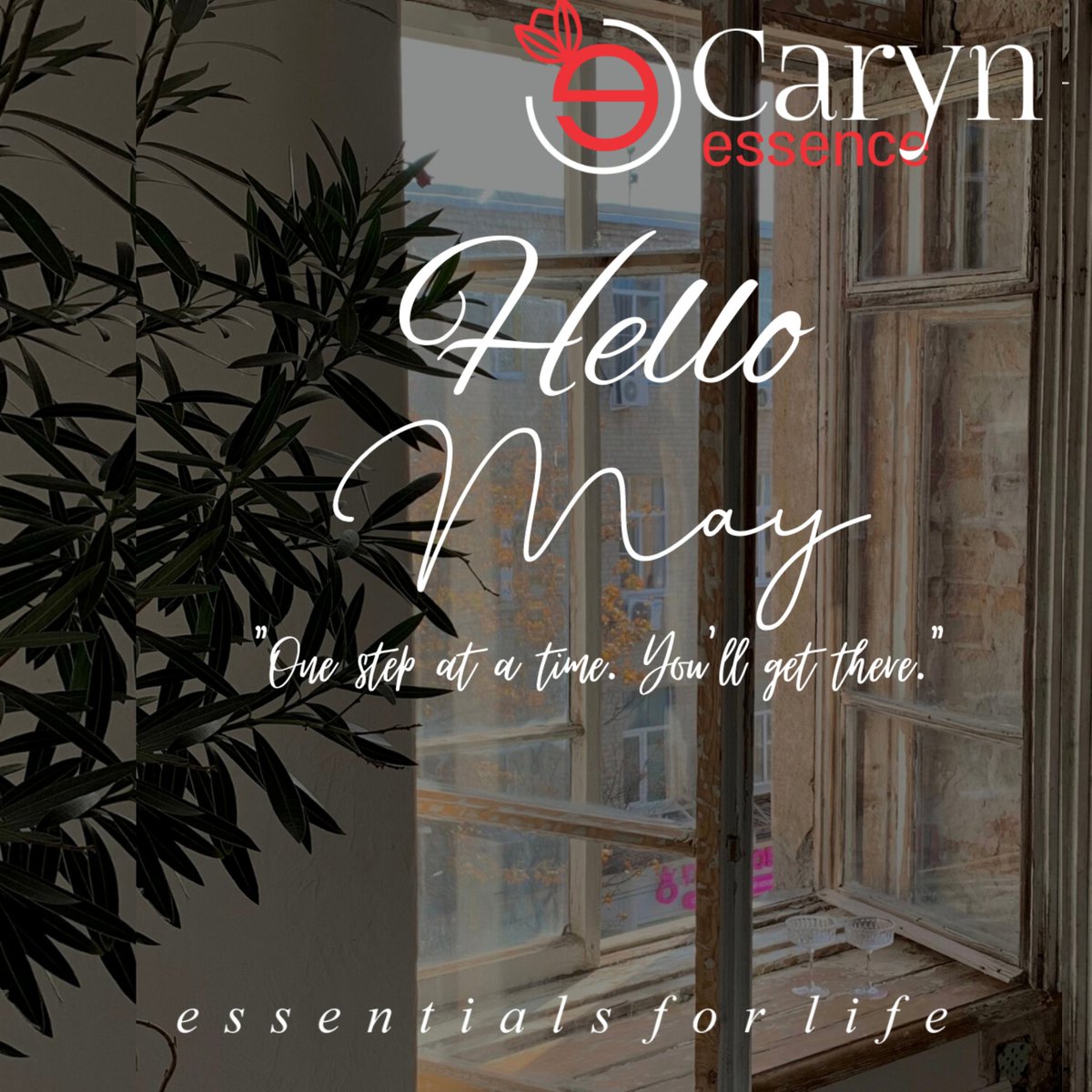 CarynEssence's tweet photo. 𝑯𝒆𝒍𝒍𝒐 𝑴𝒂𝒚...

𝙼𝚊𝚢 𝚠𝚎 𝚖𝚊𝚔𝚎 𝚒𝚖𝚖𝚎𝚗𝚜𝚎 𝚙𝚛𝚘𝚐𝚛𝚎𝚜𝚜 𝚘𝚗 𝚊𝚕𝚕 𝚘𝚞𝚛 𝚐𝚘𝚊𝚕𝚜 𝚏𝚘𝚛 𝚝𝚑𝚎 𝚢𝚎𝚊𝚛 🙏🏻 
#LabourDay #MayDay #WorkersDay #CarynEssence #Lag https://t.co/gb1DWgJoHW