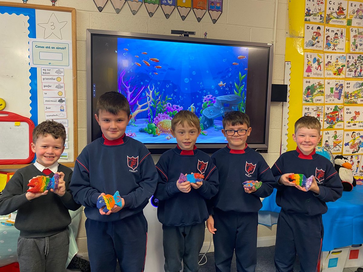 St Patrick’s BNS tweet media