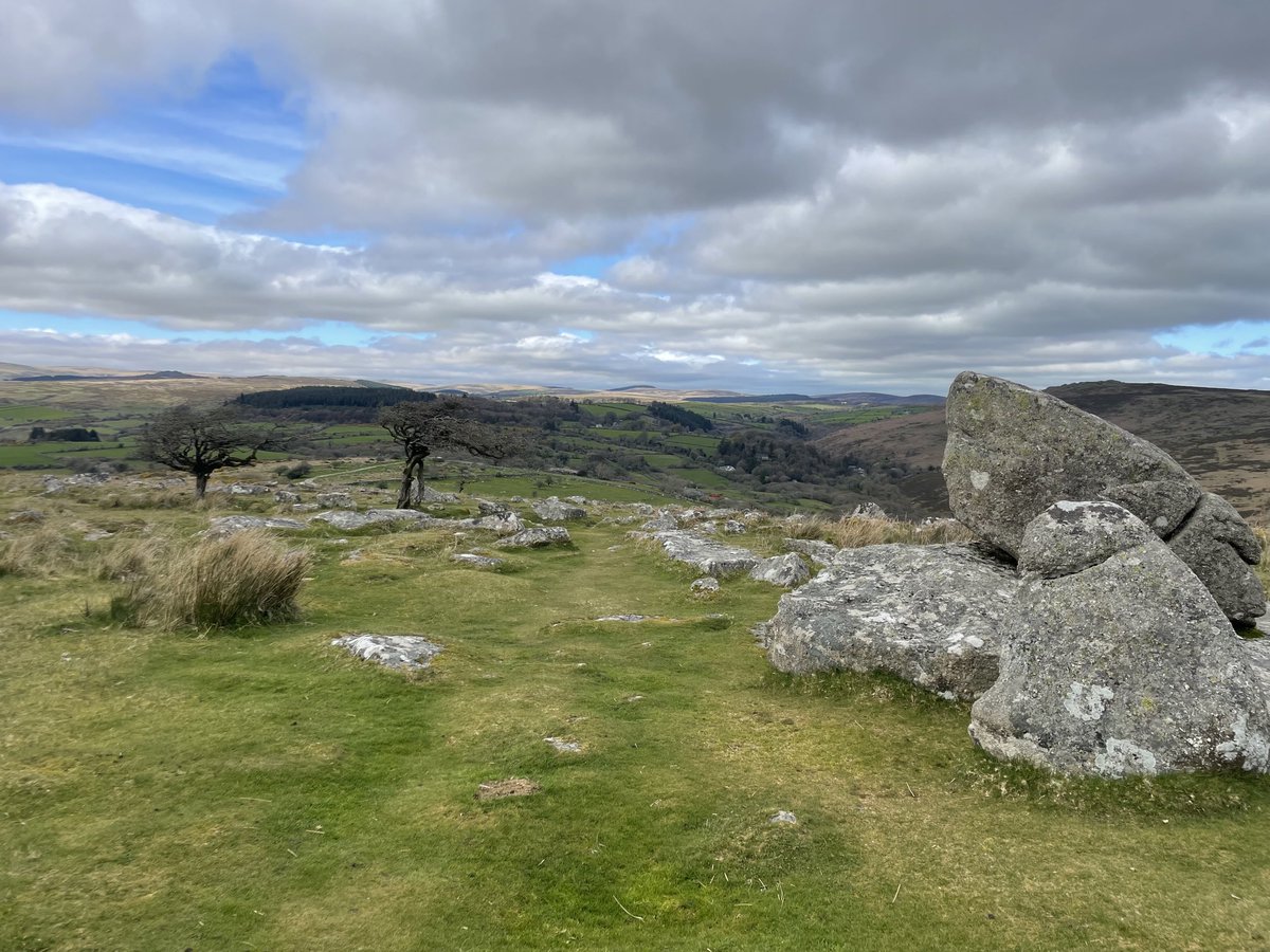 ShaunKiddell's tweet photo. Hello May ! Beautiful Dartmoor ❤️#DartmoorNationalPark #Dartmoor #May #nativeponies #newborn https://t.co/kv1CE9epyU