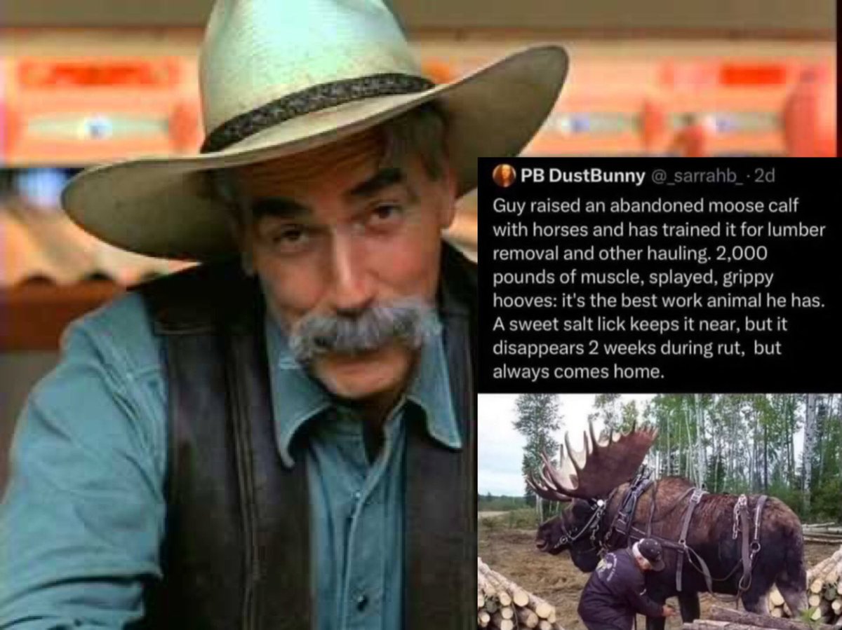 Matt Lipton on Twitter "A Coors Banquet Beer commercial, performed by