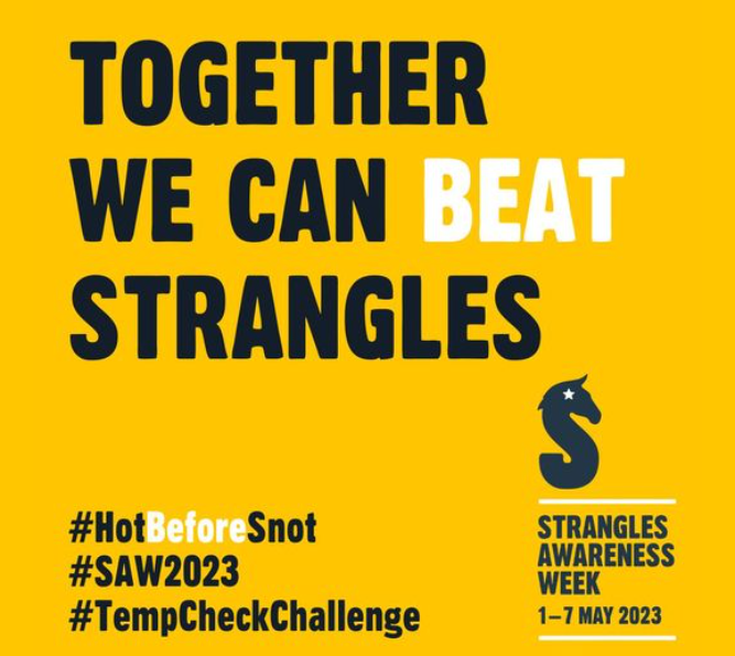 horsetrust's tweet image. We are all about the health and wellbeing of our horses and yours too! We have been very happy to fund quite a bit of Strangles research. Join us and be part of Strangles Awareness Week 2023 📷📷
#SAW2023 #Strangles #TempCheckChallenge
Find out more at: redwings.org.uk/stra.../strang…