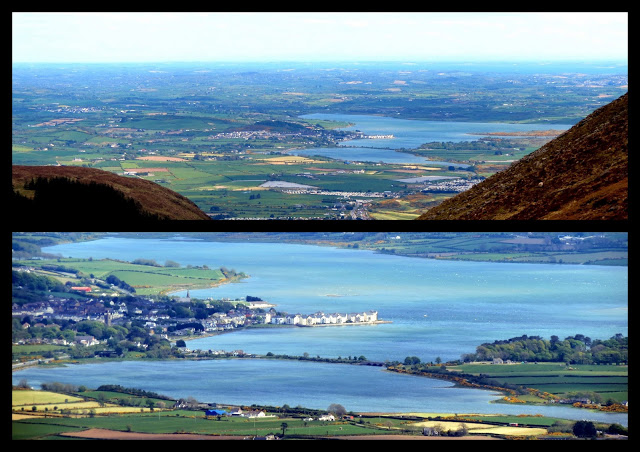 The Mourne Lodge tweet media