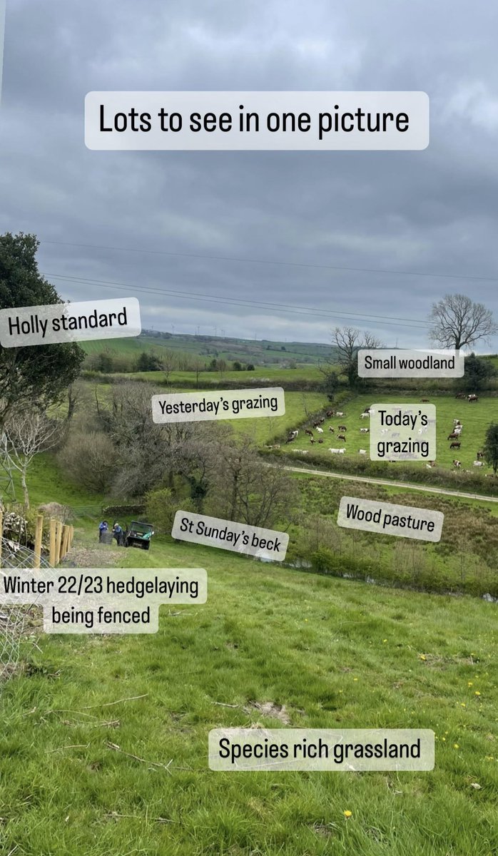 From my instagram story, but I thought I’d give it an outing here

‘Nature friendly farming isn’t shoving wildlife into a corner and then punishing the rest of the farm, it’s about creating habitats across the farm and connecting with hedges, rough grassland &amp; riparian strips 💚’