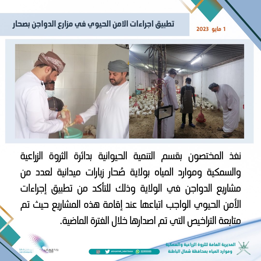 تطبيق إجراءات الأمن الحيوي في مزارع الدواجن بولاية صُحار .