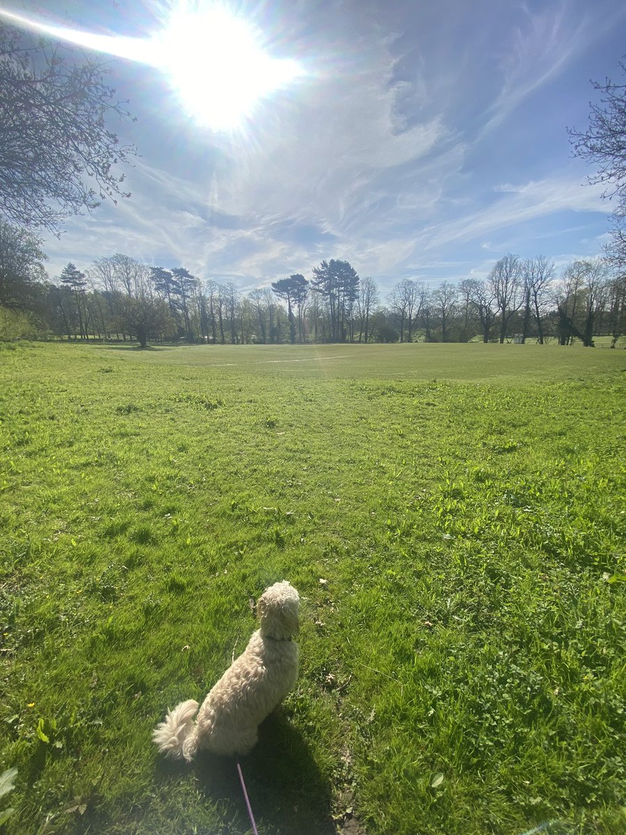 Kidnot's tweet image. Take one (or more) moment to breathe, reflect, and find peace in the midst of a busy day. 

#amomentofpeace
#KalebKhronicles
#pauseandreflect
#mindfulmoment
#gratefulheart
#breatheandbelieve
#positivemindset