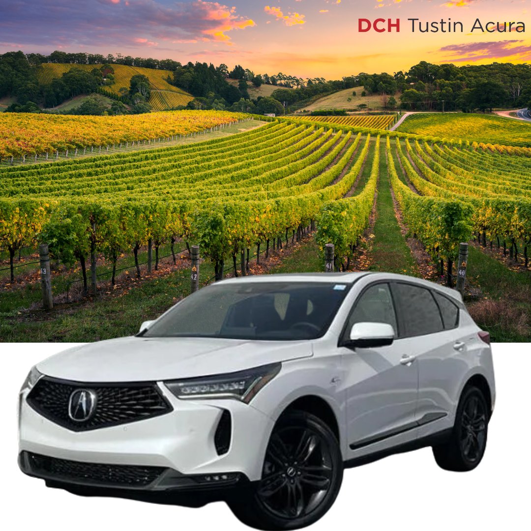 Start your week off right with a relaxing drive through #Tustin in your #AcuraRDX😎🌴🚗 Pick your get away vehicle with the link, bit.ly/41EqNFD. #California #Acura #RDX #Vineyards #S